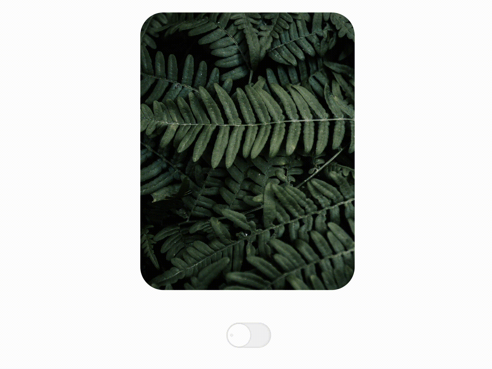 Photo Switcher animation app branding cleandesign design graphic design illustration ios logo minimal ui