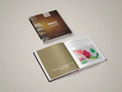 Book design for Fonacot 40th Anniversary book bookdesign design editorialdesign fonacot ogstudio