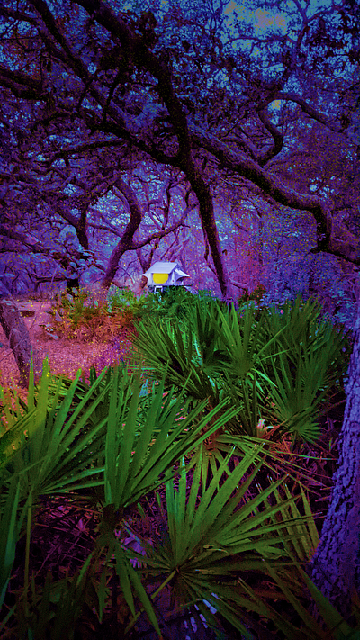 Nighttime in Florida Swamp - Hypercolorism camera raw camping color colorful cool design florida gradient hyper hypercolorism nighttime photo photography photoshop surreal surrealism trippy