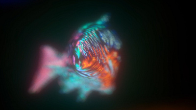 Fish 3d abstract c4d digital art illustration