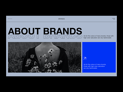 About Brands fashion ui design webdesign