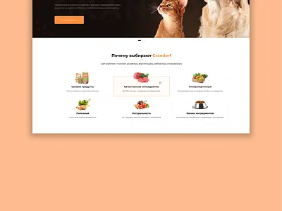 Grandorf branding creative design illustration logo ui web mosaica website лендинг