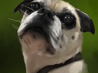 buster digital art illustration