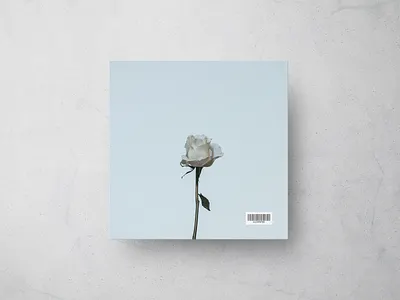 Flower| Single Cover| Minimalist Music Cover| Vinyl album album art album artwork album cover album cover art album covers albumartwork albumcover albumcoverart artwork cd coverart coverdesign design digitalart graphicdesign mixtapecover recordcollection singlecove vinyl