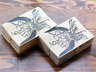 Seyyar Sesler 9 Fanzine book editorial design fanzine illustration istanbul magazine new jersey typography underground