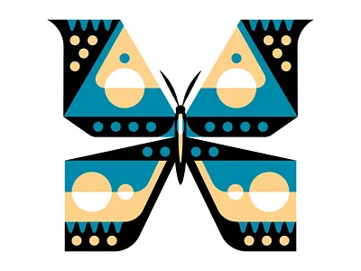 🦋 butterfly insect nature