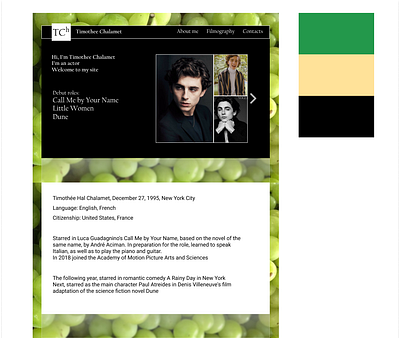 Site for Timothee Chalamet branding graphic design logo ui