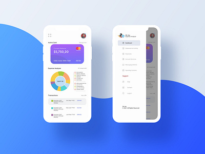 Expense Analyzer App app interface expense analyzer app expense app ui app uiux