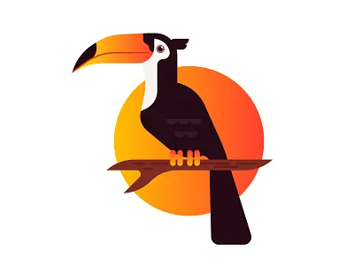 Toucan animal bird character design flat illustration illustrator simple toucan vector