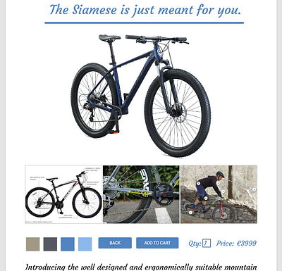 Roar Bikes - Product - Web Design adobe xd design ui design ux design web design