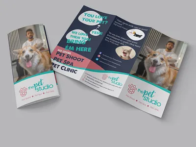 Brochure Design - The Pet Studio branding brochure design graphic design illustration layout logo photoshop ui vector