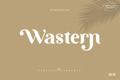 Wastern Playfull Typeface branding chic font lettering logo modern otf sans serif serif font ttf typeface unique