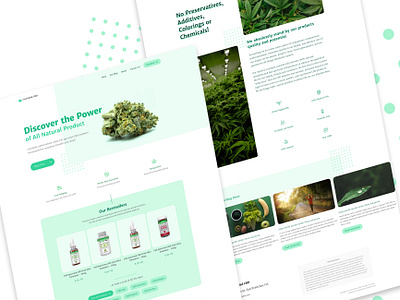 Web-design Concept for CBD Dropshipping Online Store cannabis cannabis business cannabis web design cannabis website cbd cbd oil cbd website design concept figma design hemp hemp oil hemp website legal cannabis ui designer ux designer web development wordpress wordpress developer