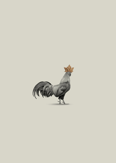 The rooster and the leaf graphic design minimalism poster design