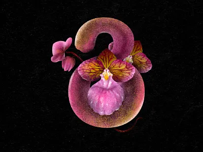 Georgian Letter გ-G alphabet art design floral font gergianalphabet graphic design illu illustration le lett lettering letters typo typography