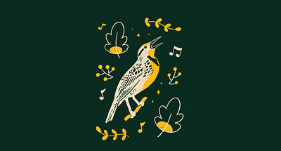 Meadowlark T-shirt art design drawing graphic design hand drawn illustration nature procreate