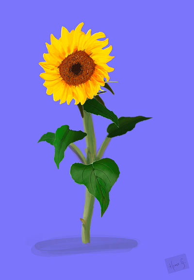 Sunflower! art cartoon flower design flower art flowers game hope positivity procreate art sun sunflower yellow