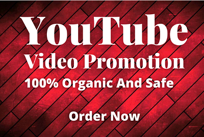 I will do super fast organic YouTube promotion and marketing by google adswords organic promotion supar fast usa youtube promotion video marketing viral vedio youtube ads youtube channel youtube promotion youtube seo youtube video promotion