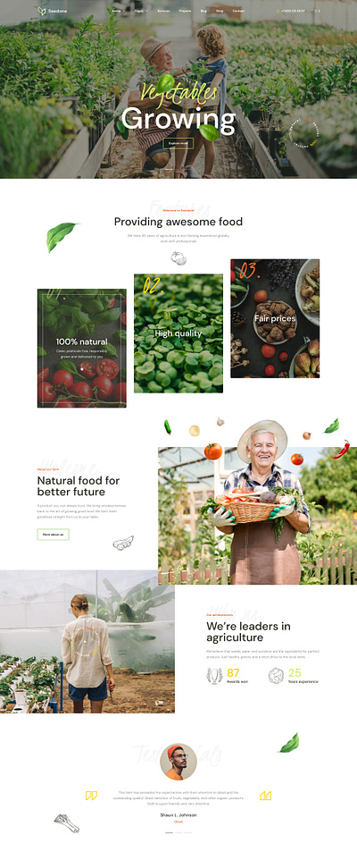 Seedone - Vegetables growing, lettuce and greenhouses agriculture eco farming greengouse growing lettuce multipurpose natural organic ui ux vegetables web design