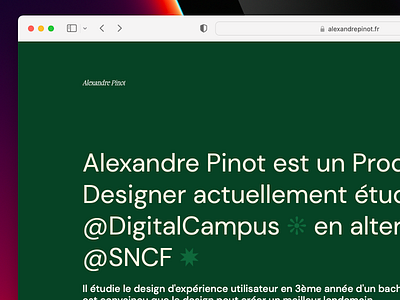 alexandrepinot.fr app branding design illustration logo minimal ui ux vector white