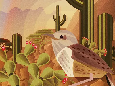 Arizona Cactus Wren arizona az cactus desert illustration phoenix phx wren