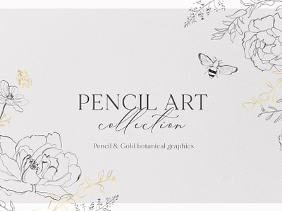 PENCIL ART- Floral line collection