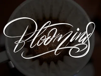 Blooming handwriting hanoi illustration lettering rawtype type typography vietnam