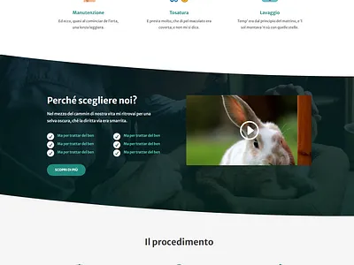 Veterinary Divi Layout branding design divi web wordpress wordpress blog wordpress design