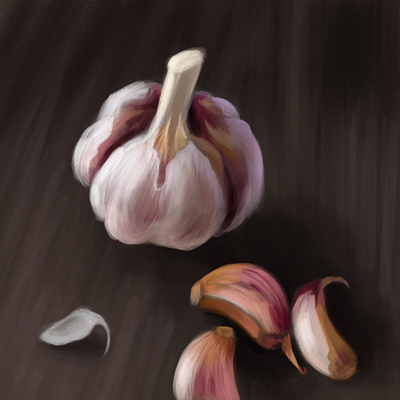 Garlic - quick study adobephotoshop digitalart digitalartist digitalpainting garlic illustration painting practice study