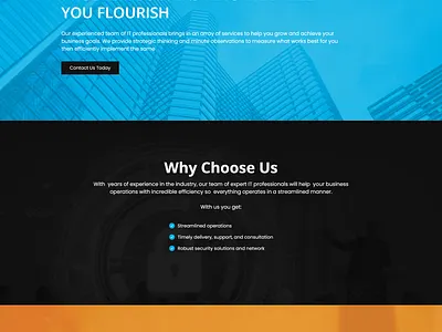 IT Consulting Web Design logo design ui ux web design