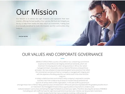Business Consulting Web Design logo design ui ux web design