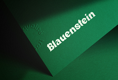 Blauenstein typography branding concept design georgian typography glyphs holy motors identity illustration layout logo type design typography