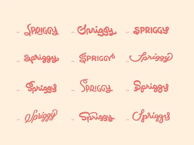 Spriggy Wordmark Exploration hand lettered logo hand lettering lettering ligature logo logo exploration logo process logotype sketches thumbnails typo typography wordmark