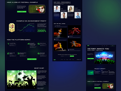 Sport investment landing page crypto dark theme design investments landing page logo sport tokens ui ux web