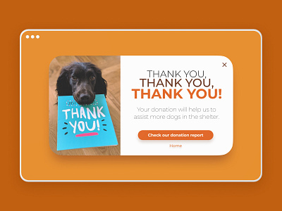 Daily UI Challenge :: 016 - Pop-Up / Overlay dailyui dog notification orange overlay pop up pop up. popup popup shelter ui