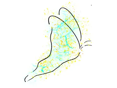 A Butterfly design drawing illustration logo procreate