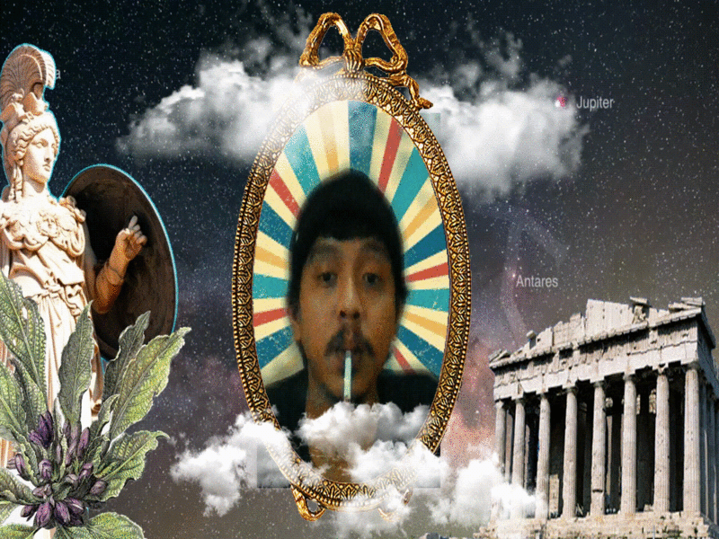 My Carnival design graphic design