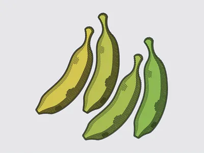 Banana Gradient art banana bitmap design drawing duotone fruit graphic design green illustration ripe sketch vector yellow
