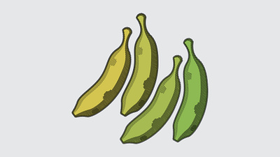 Banana Gradient art banana bitmap design drawing duotone fruit graphic design green illustration ripe sketch vector yellow