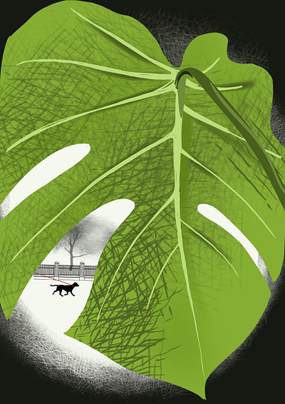 Walking. dog drawing illustration monstera procreate walking