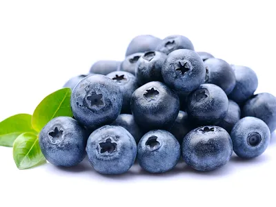 Sweet blueberries with leaves on white backgrounds. Healthy food antioxidant berry blueberries food leaves nature object plant raw ripe snack tasty vegan vitamin