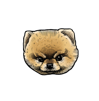 angry spitz art design graphic design illustration nft sticker