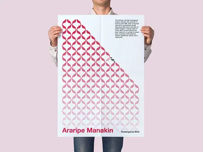 Endangered Bird: Madagascar Pochard araripe manakin awareness design jombie design poster endangered bird illustration poster sushant sushant kumar rai swiss style