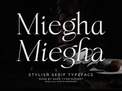 Miegha Serif Typeface branding business classic classic fonts clean fonts combination design display fashion fonts feminine graphic design headline logo modern poster quotes serif font stylish fonts typography unique fonts