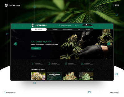 Lestorseeds creative design design dribbble ecommerce logo ui unique design ux web design website