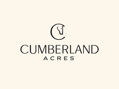 Cumberland Acres Branding branding equestrian handlettering handtype hashtaglettering horse lettering logo