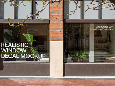 Storefront Window Decal Mockup