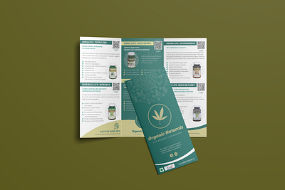 Organic Trifold Brochure Design adobe illustrator adobe photoshop brochure design business flyer creative flyer design flyer flyer design illustration logo trifold trifold brochure ui