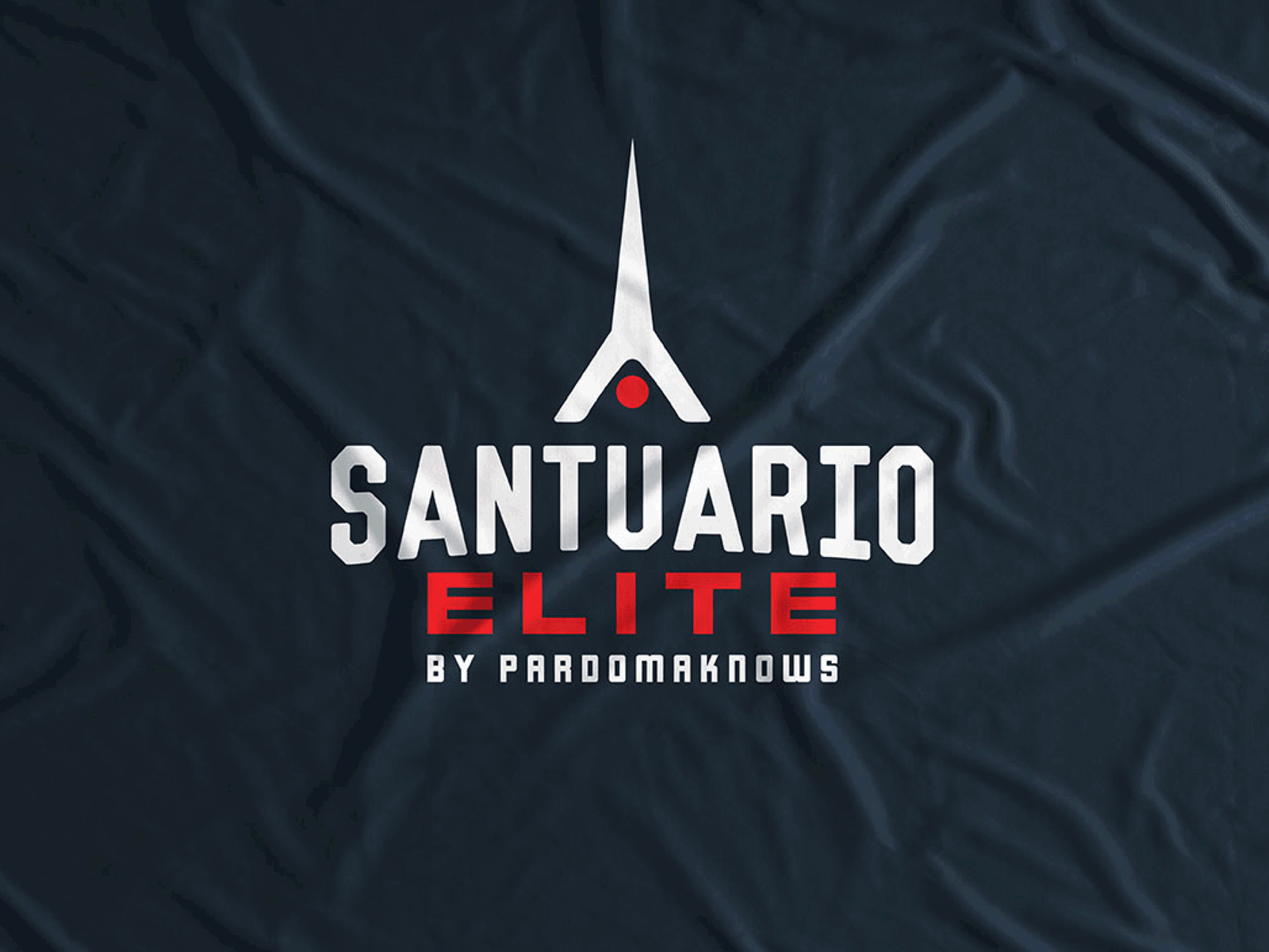 Santuario Elite / Calisthenics brand brand design branding calisthenics gym health logo logo design logos mexico sport sports