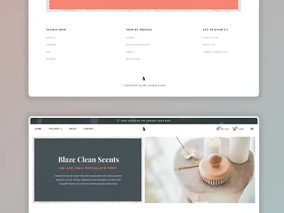 Blaze Website Design design homepage design product design ui ux website